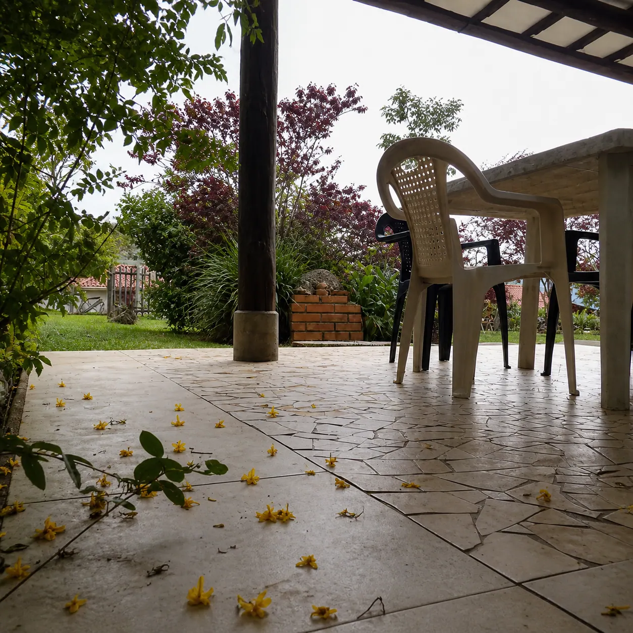 Sillas bajo el corredor con flores amarillas sobre el piso y vegetación alrededor