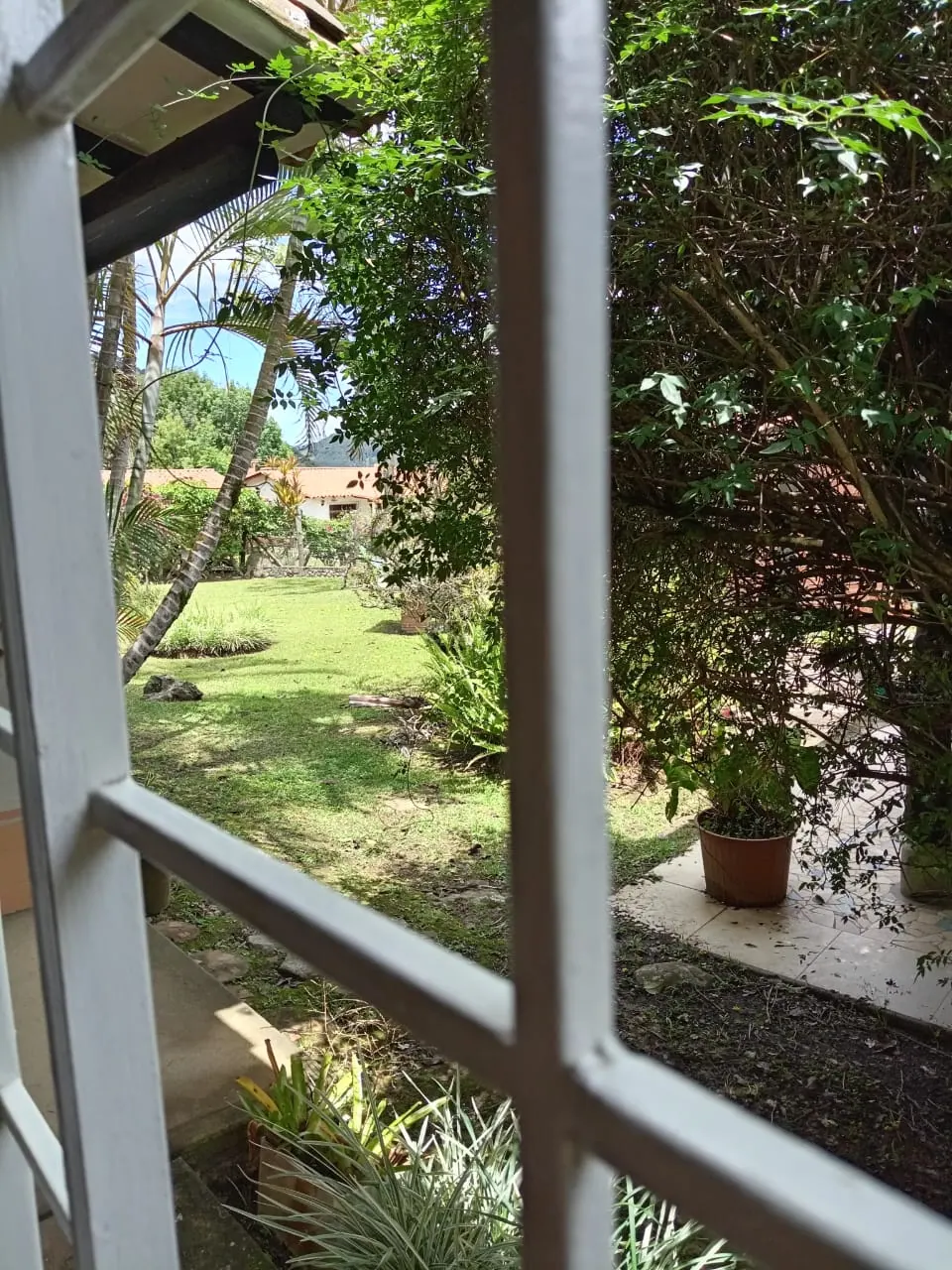 Jardín visto desde el corredor exterior de La Tucanera